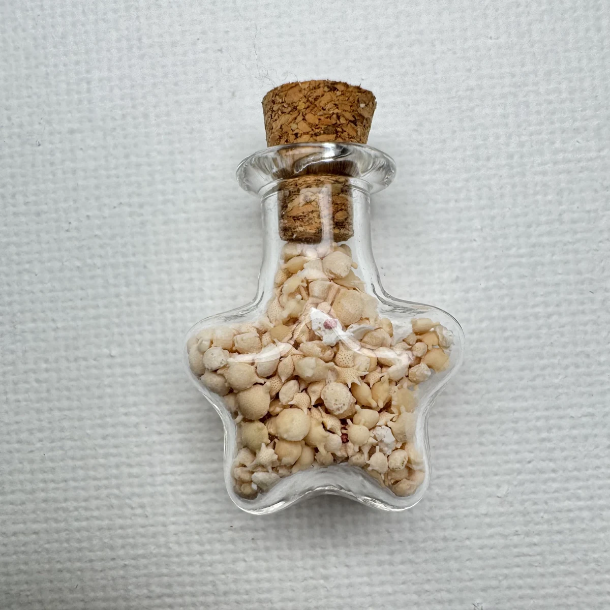 Foraminifera "star sand" shell specimen from Okinawa, Japan, 30 mm（bottle）, image 1