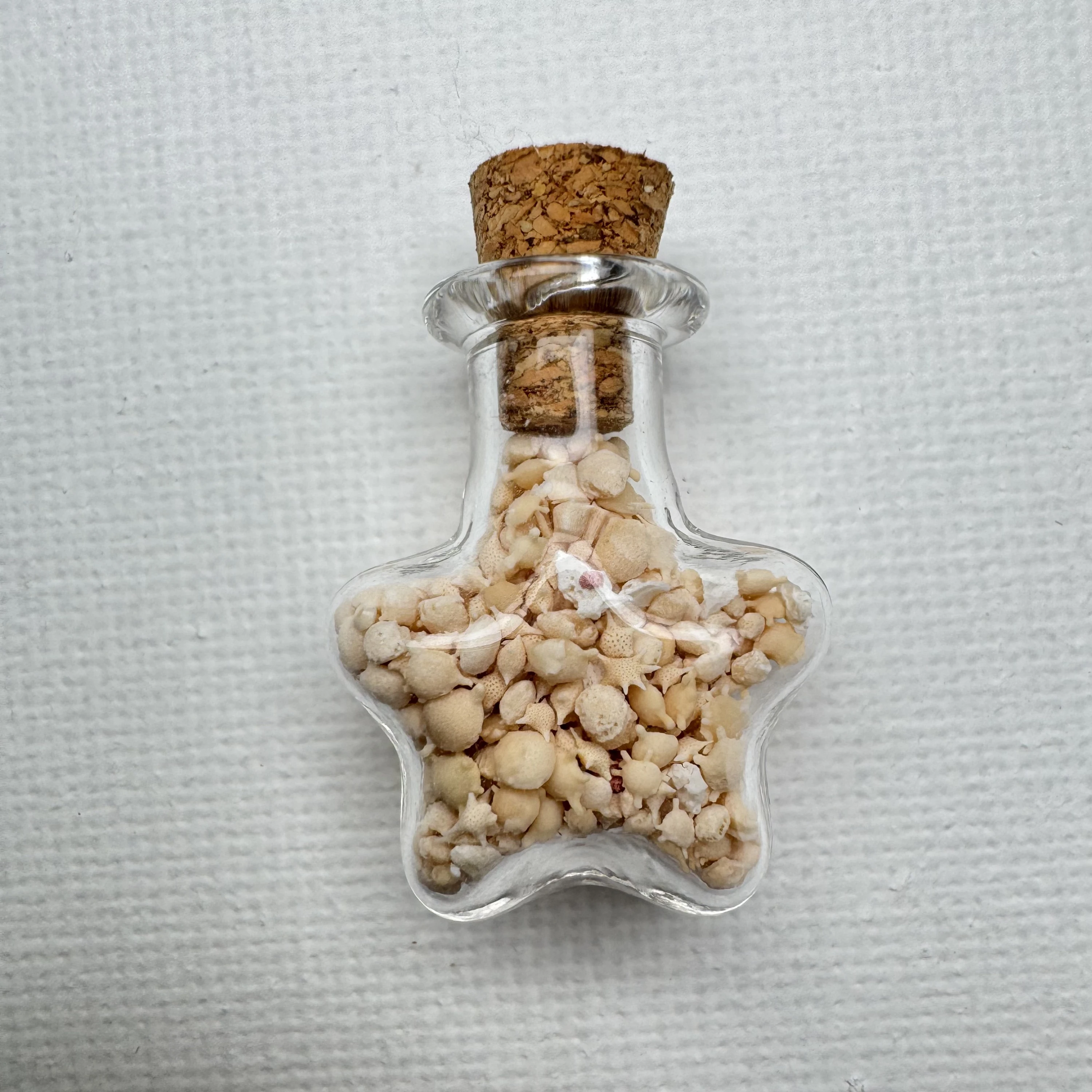 Foraminifera "star sand" shell specimen from Okinawa, Japan, 30 mm(bottle), image 1